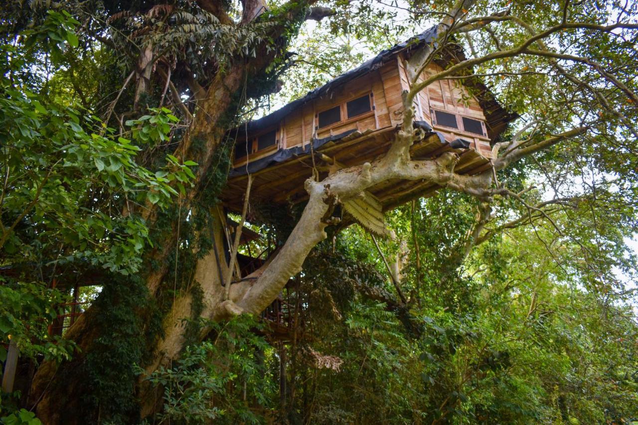 Вилла Kumbuk Tree House Тиссамахарама Экстерьер фото