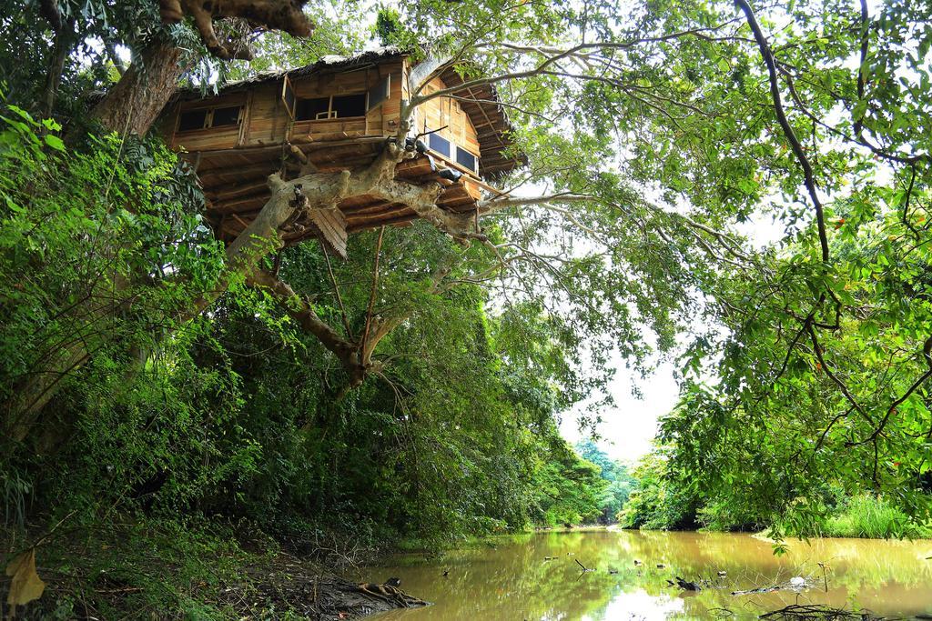 Вилла Kumbuk Tree House Тиссамахарама Экстерьер фото