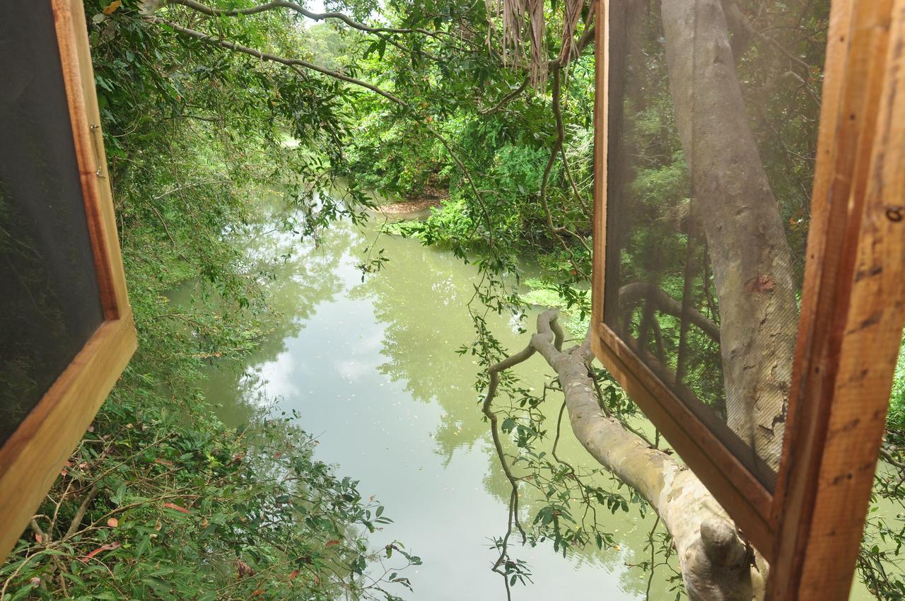 Вилла Kumbuk Tree House Тиссамахарама Экстерьер фото