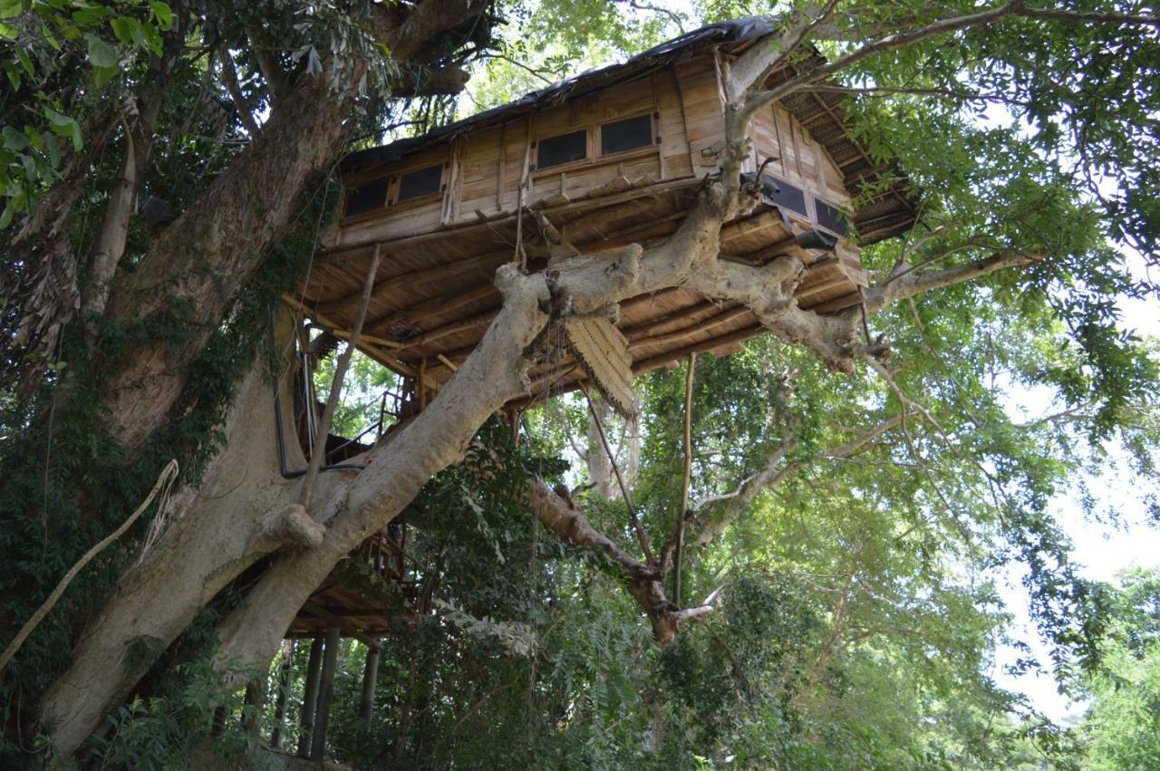 Вилла Kumbuk Tree House Тиссамахарама Экстерьер фото
